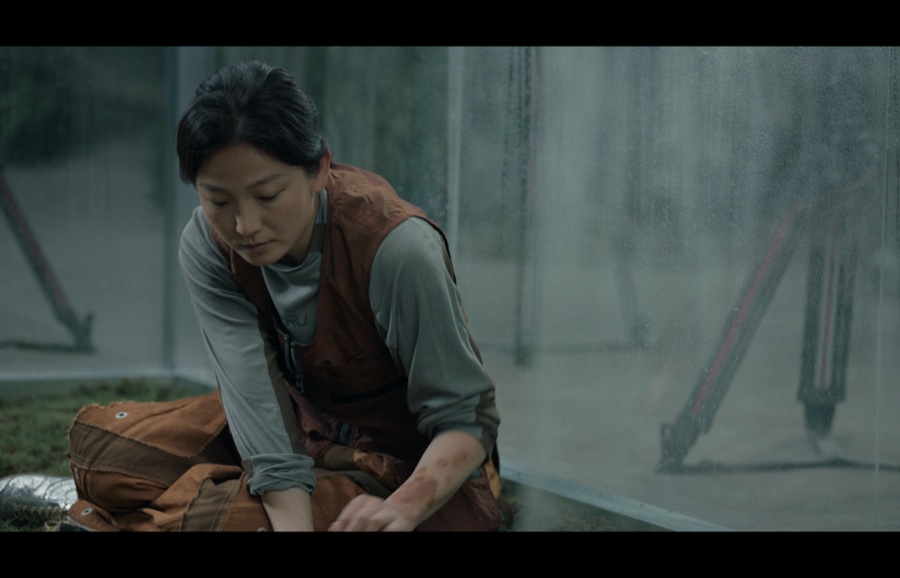 《狗尾草》调色静帧 11